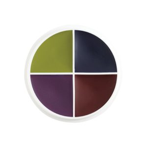 Professional Color Wheel- Bruises 4 Colors
