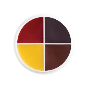 Professional Color Wheel- Bruises & Abrasions 4 Colors