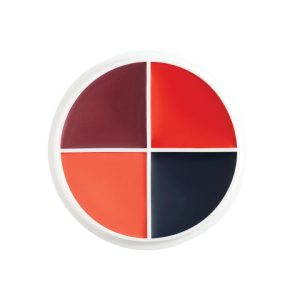 Professional Color Wheel- Burns & Blisters 4 Colors