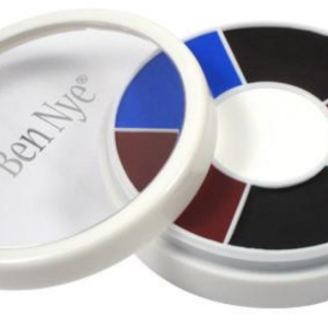 Professional Color Wheel- Master Disaster 6 Colors